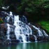 CHERRAPUNJEE-Elephant falls