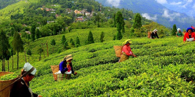 Darjeeling