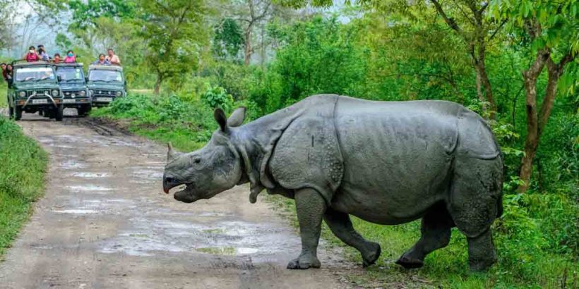 KAZIRANGA NATIONAL PARK-naga;land0