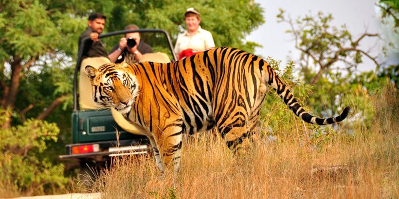 NAINITAL CORBETT01