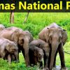 GUWAHATI – MANAS NATIONAL PARK