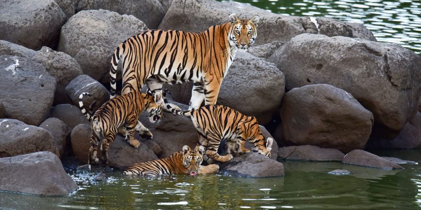 arunachal Pakhui Wildlife Sanctuary