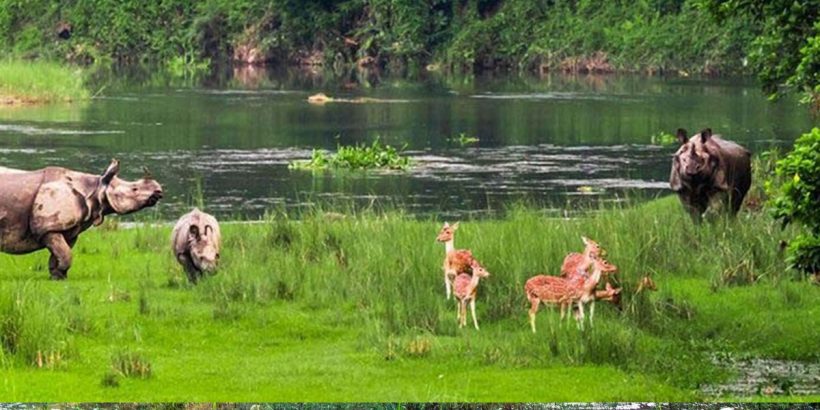 CHITWAN NATIONAL-PARK22